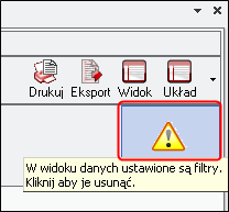 Ekran: Funkcja Usuń filtry  
